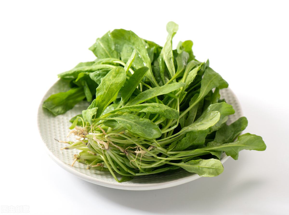 农村这种野菜,人们叫它"地菜",农家人常吃到,城里卖12元一斤