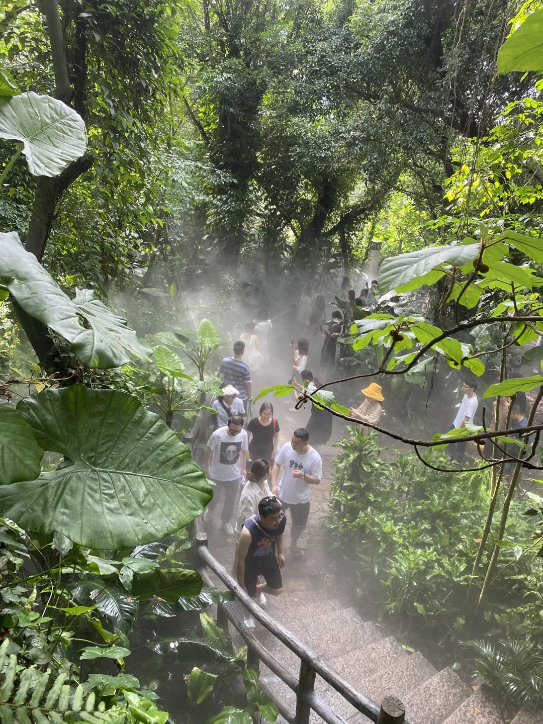 紫雲巖風景景點介紹(紫雲巖作文範文) _力貝號