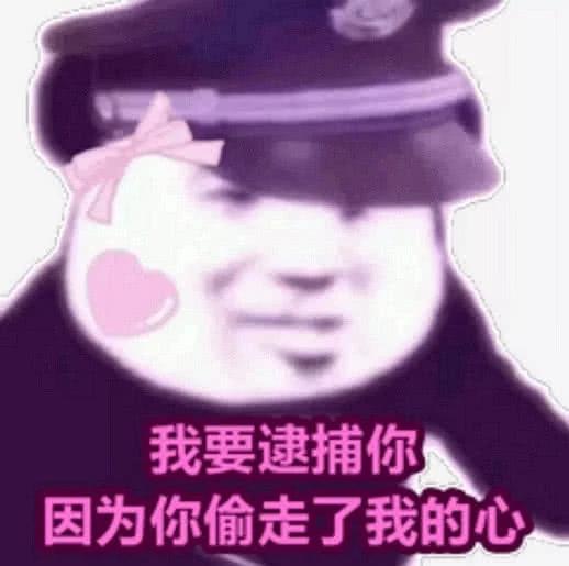 这位妹妹/哥哥你被逮捕了罪名偷心的贼表情包