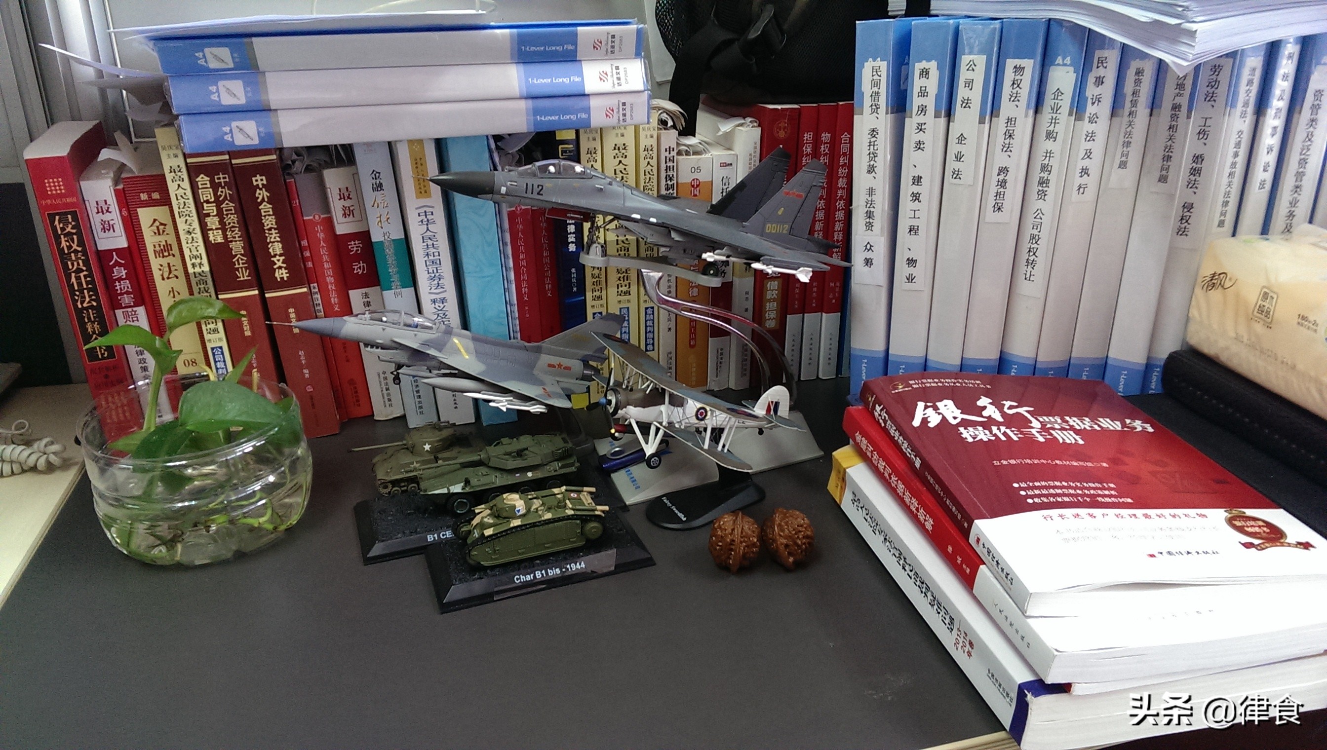 代理权滥用（律）