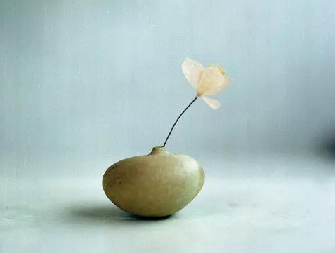 《菜根谭》：面对繁琐世事，懂得“独善其身”，才能豁然开朗