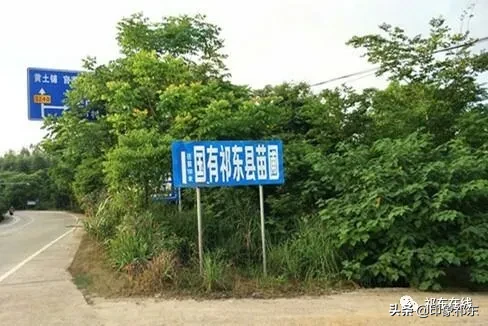 「家乡祁东」白地市记忆