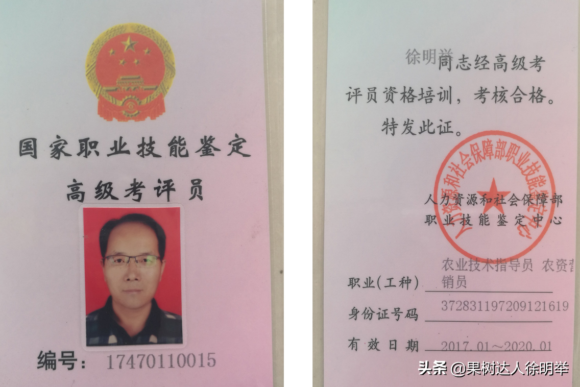 园艺技术学习好了到底能从事哪些工作呢