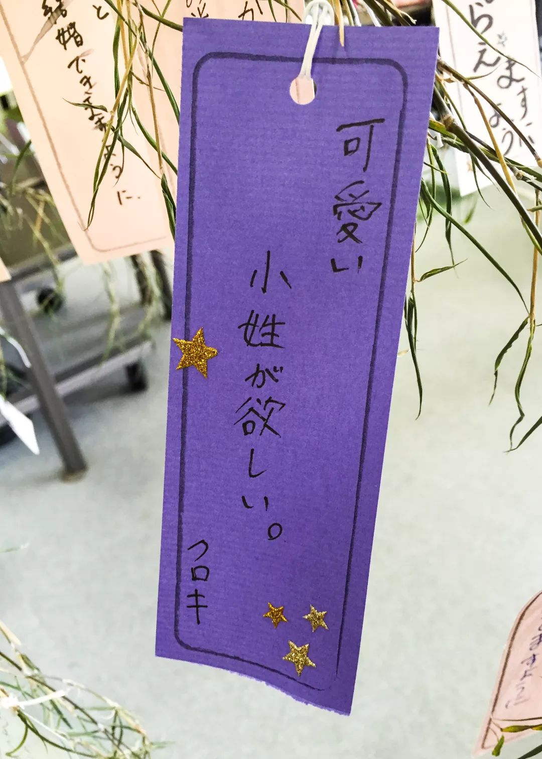 日本艺术大学：京都精华大学—自由之王国