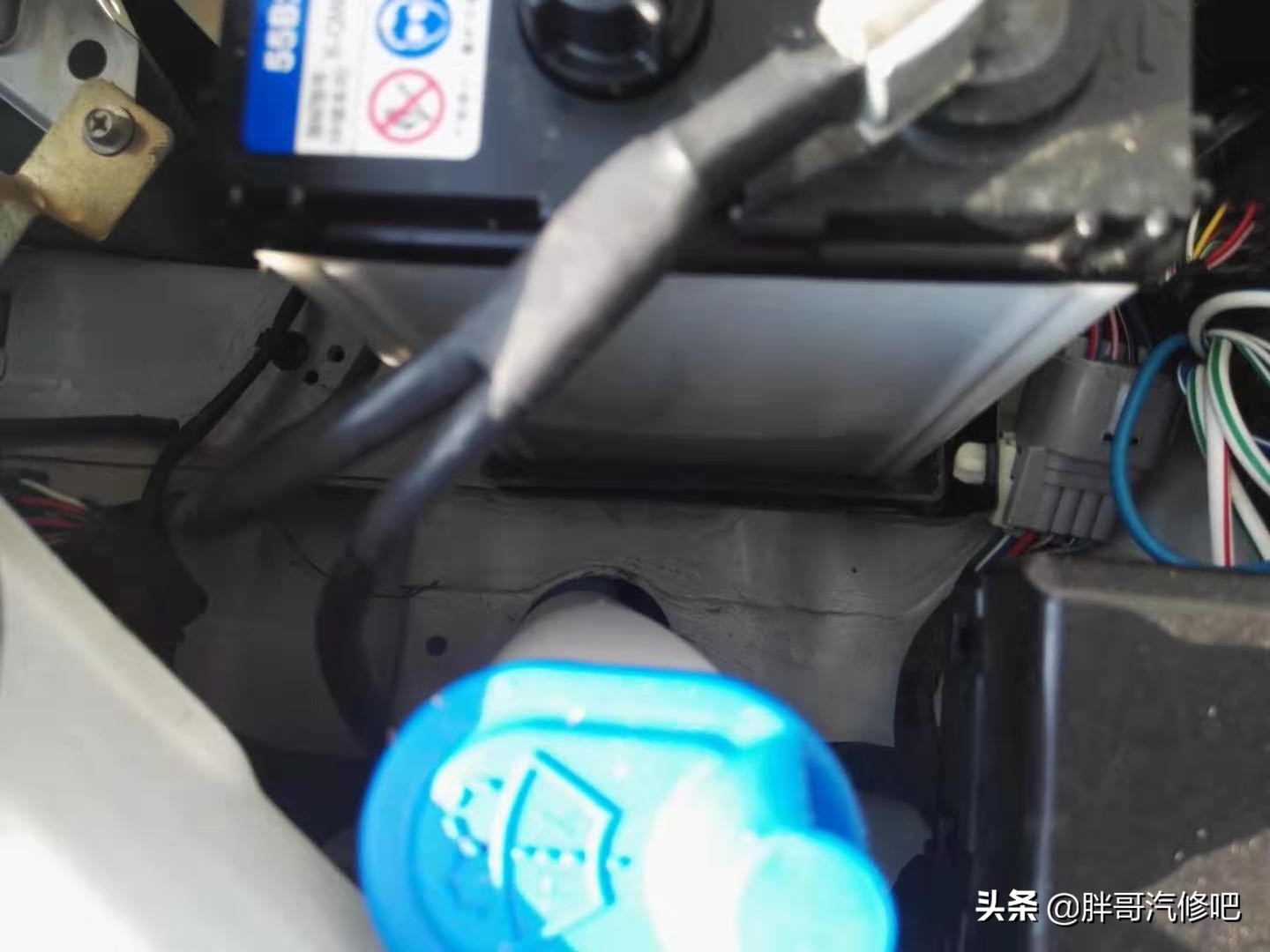 胖哥推荐铃木血统二手车，大空间、高配置、还省油
