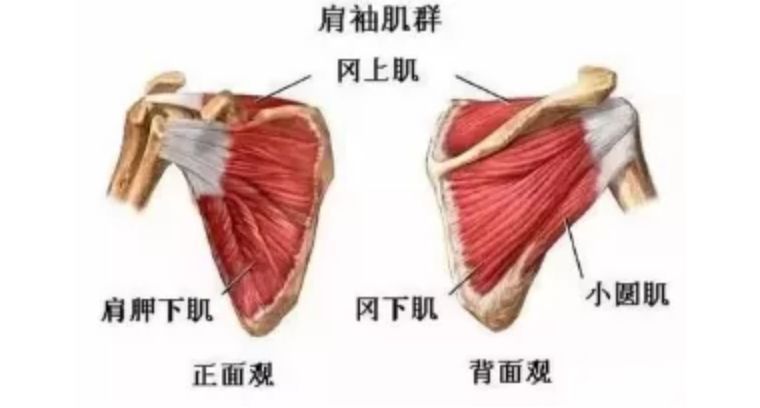 唉 ，為什麼我做不到雙手背後合十 ?