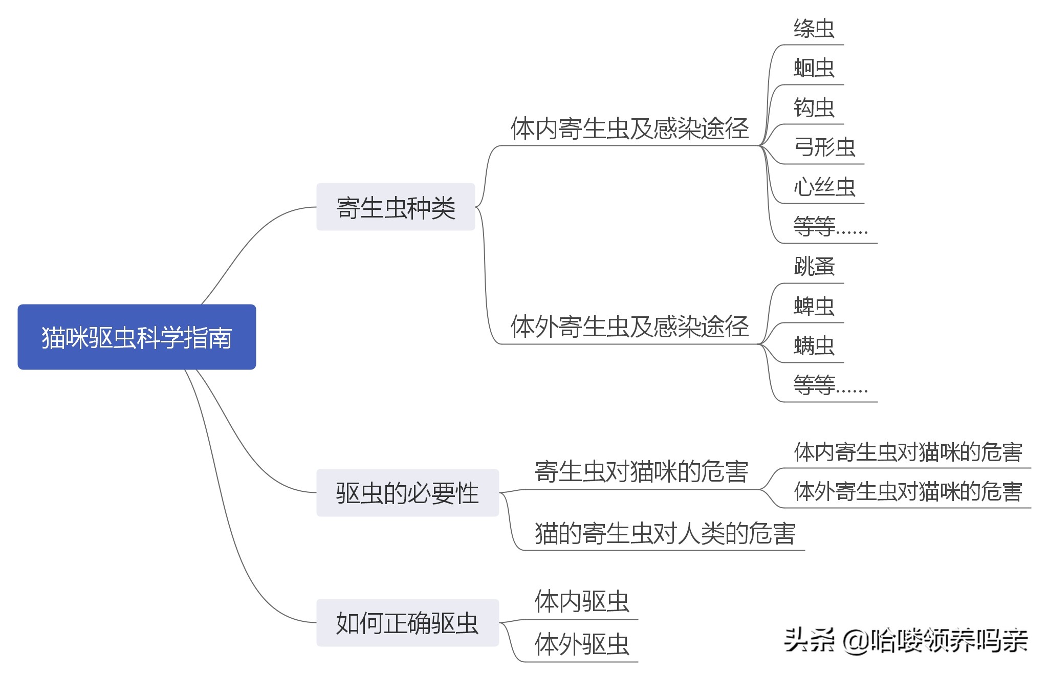 猫咪是否需要驱虫的判断标准与定期预防指南