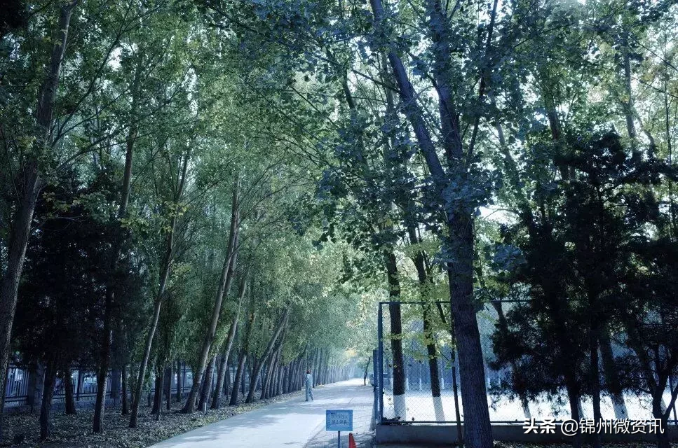 渤海大学关于报到的那些事儿！流程都在这里