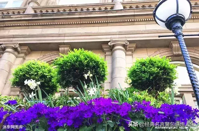 亲情,永远最重要