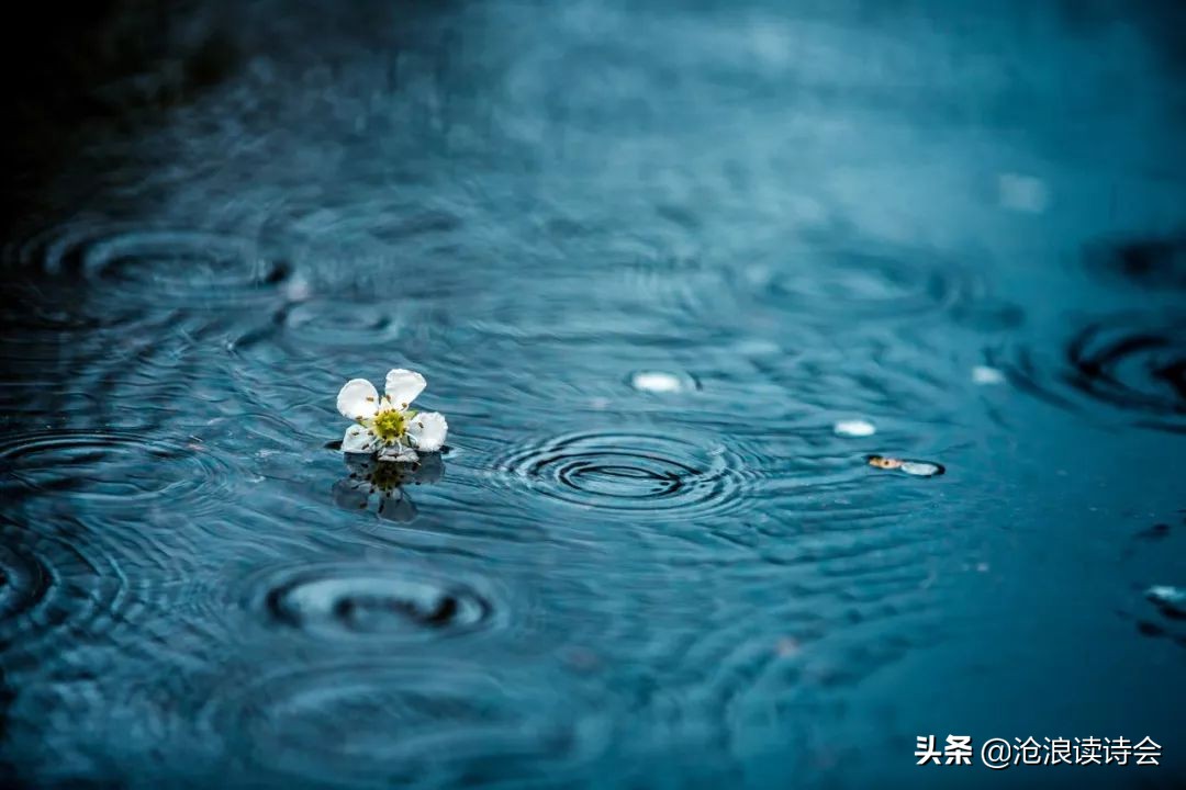 假期来读好诗,四首唐诗唯美深沉,有人生大境界,送给漂泊孤独心