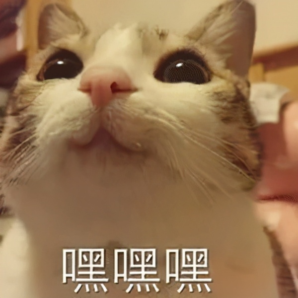 VOl.2 一建习题 | 建设工程项目组织这些点你有弄懂吗？