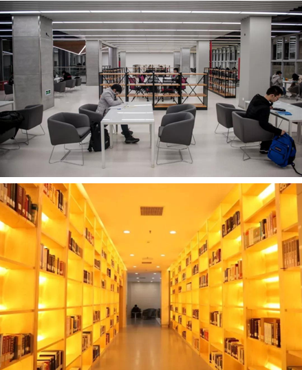 如果，在东南大学遇见你