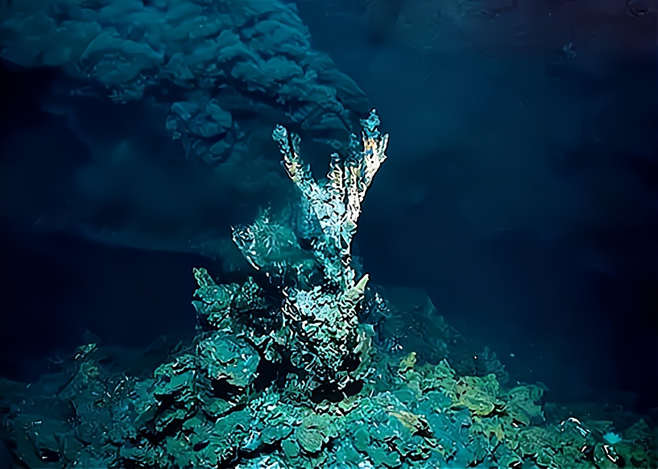 深入水下一万米,在海洋最深处的马里亚纳海沟,人类发现了什么?