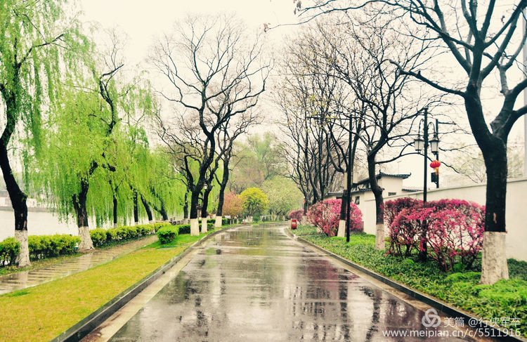 莫愁湖——粉黛江山，留得半湖烟雨；王侯事业，都如一局棋枰