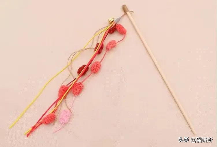 猫咪为啥沉迷吸鞋？这样会传染脚气吗？