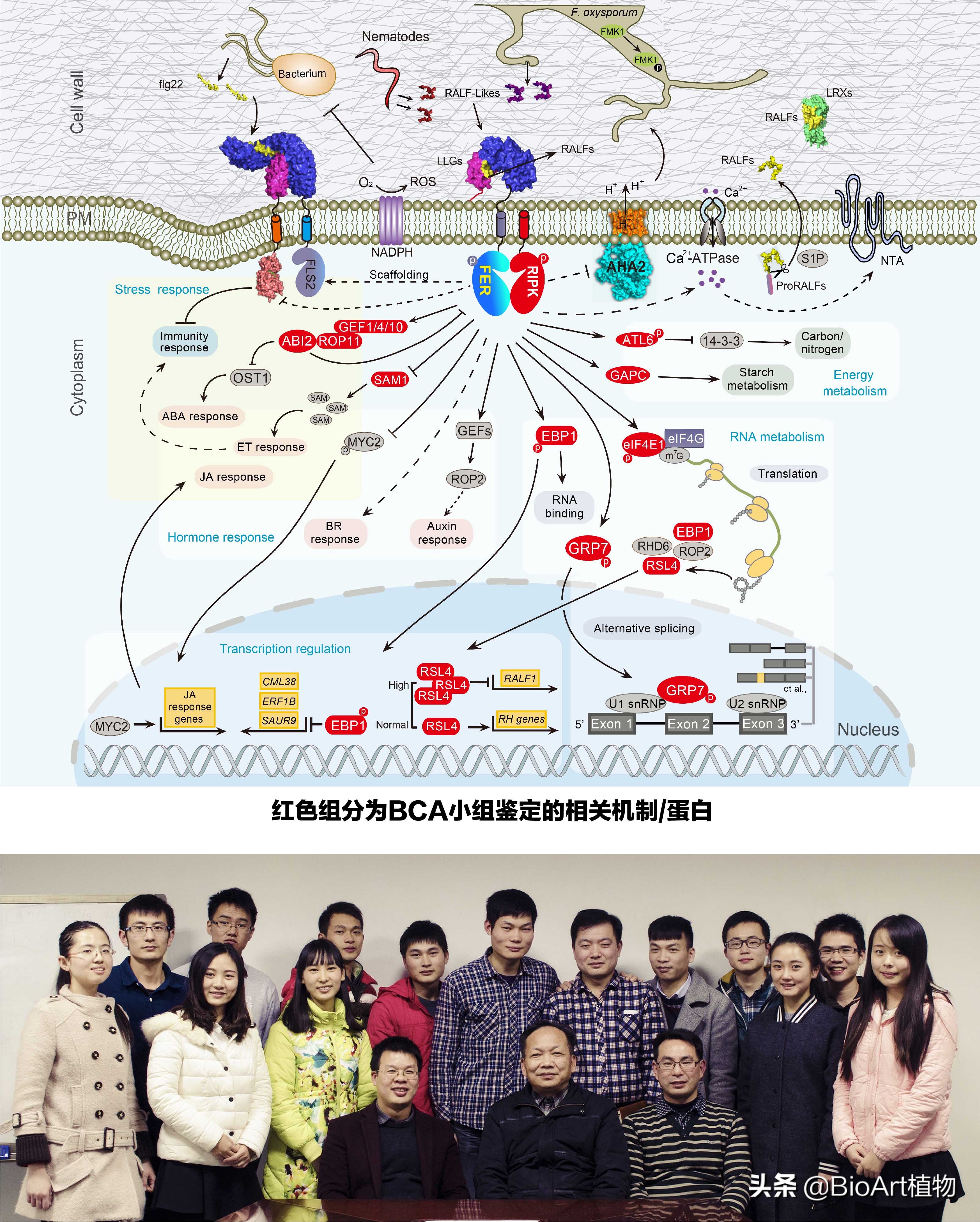 湖南大学于峰教授课题组博士后招聘启事
