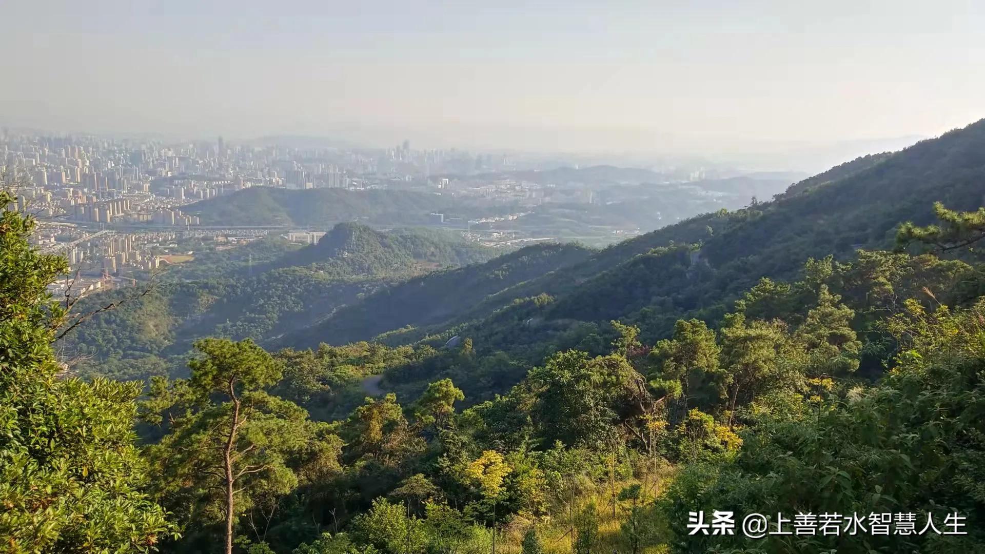 《千字文》感悟：谦卑是基石，切莫得意忘形害自己，吾日三省吾身