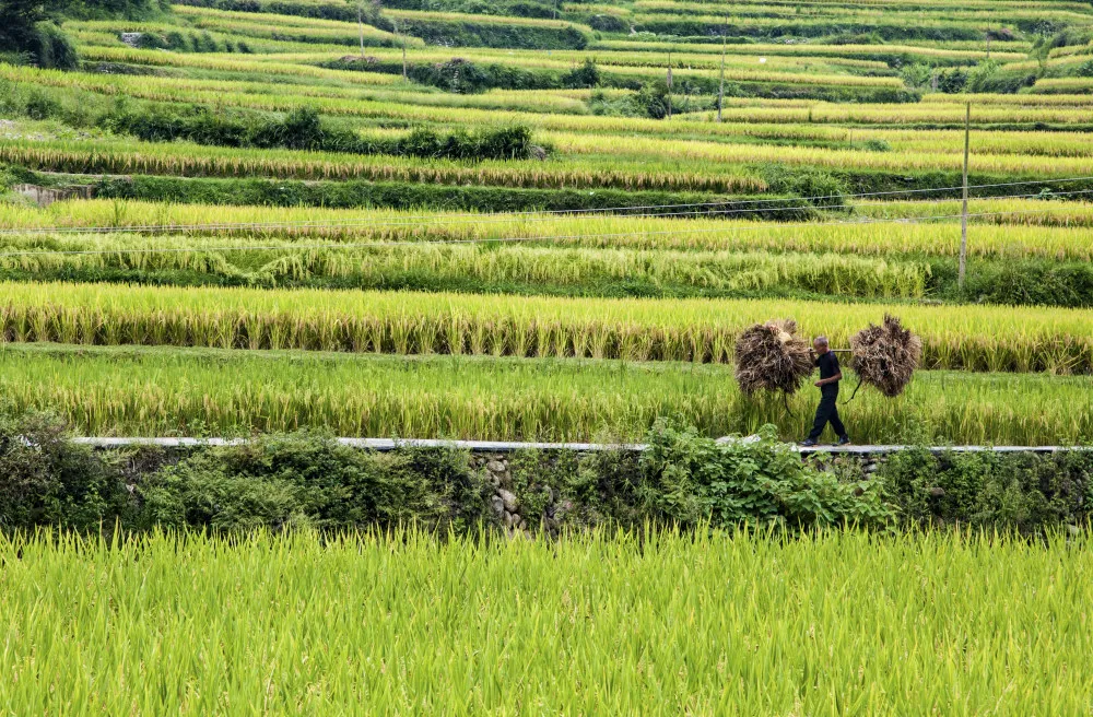人人都是劳动者，天天都是劳动节