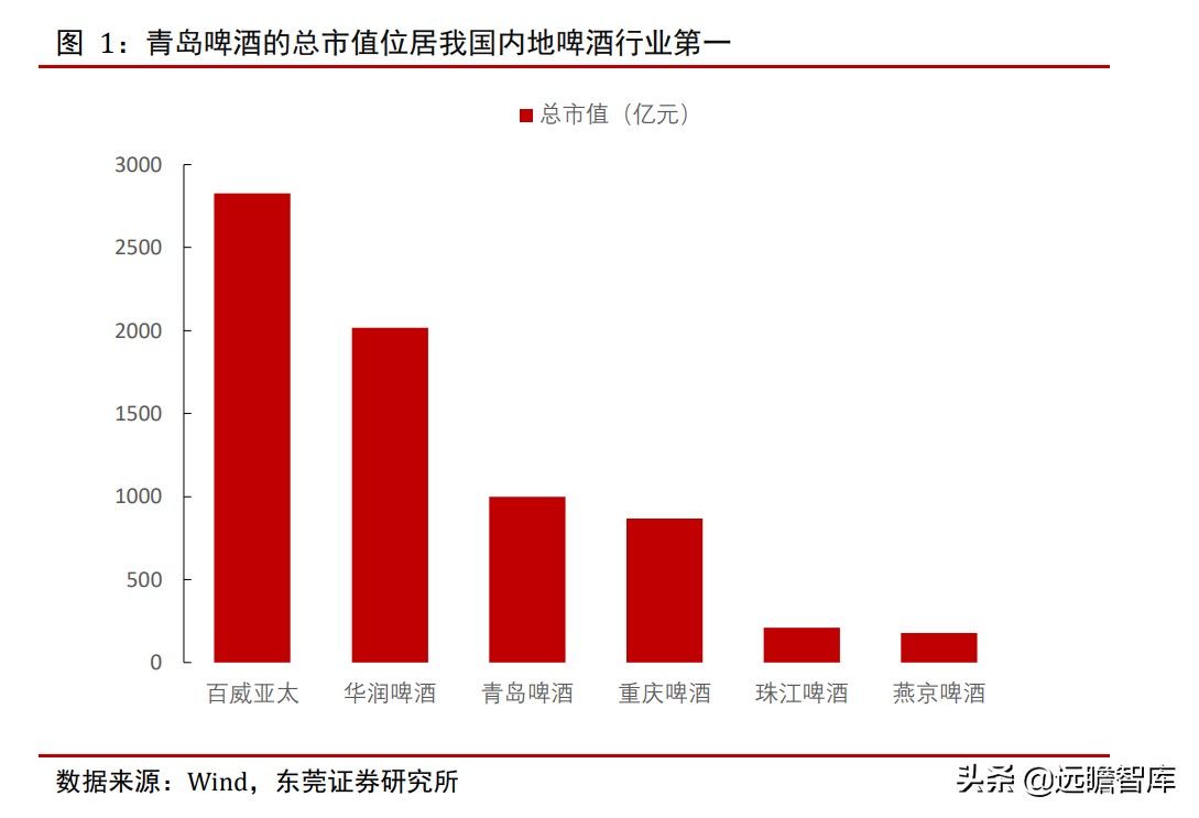 青岛啤酒：全球排行第五，历经百年、高端赋能，追逐百威、华润