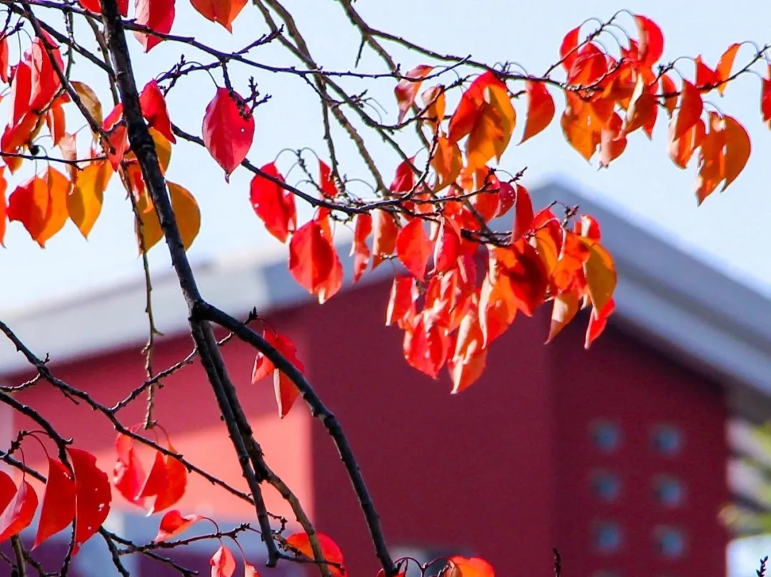 多少分，可以上兰州大学？