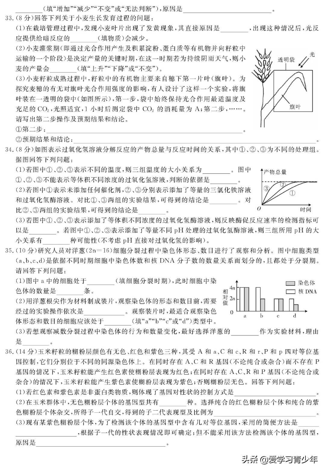 2020高考冲刺必刷卷【9科全+答案解析】可下载, 开学请自测!