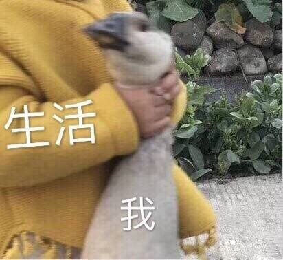 表情包：人家好怕怕