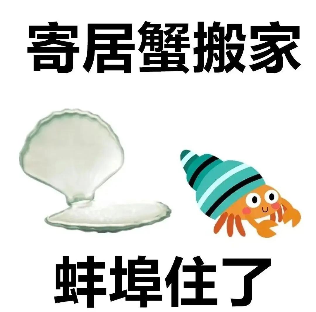 搞笑“歇后语”图片：真是老太婆进被窝——给爷整笑了