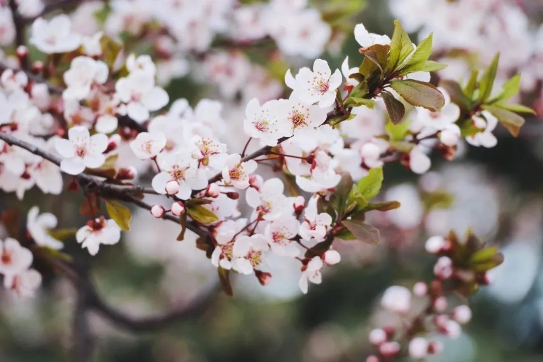 高清曝光！坐拥神仙颜值，山东最美“校花”就在这所大学里！