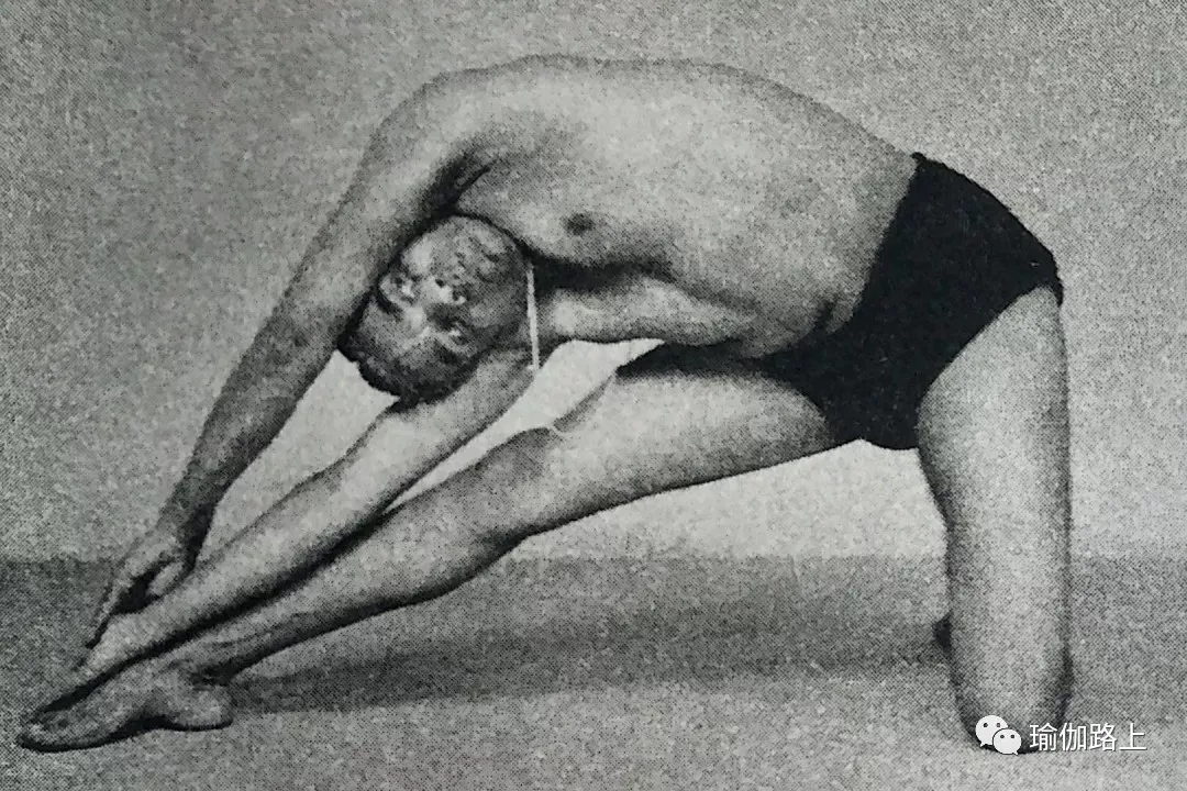 艾扬格密集一 | 32 个经典体式 & 2 大呼吸法经典示范图