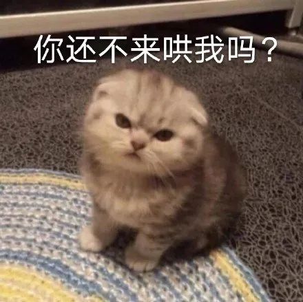 委屈表情包：你还不来哄我吗？