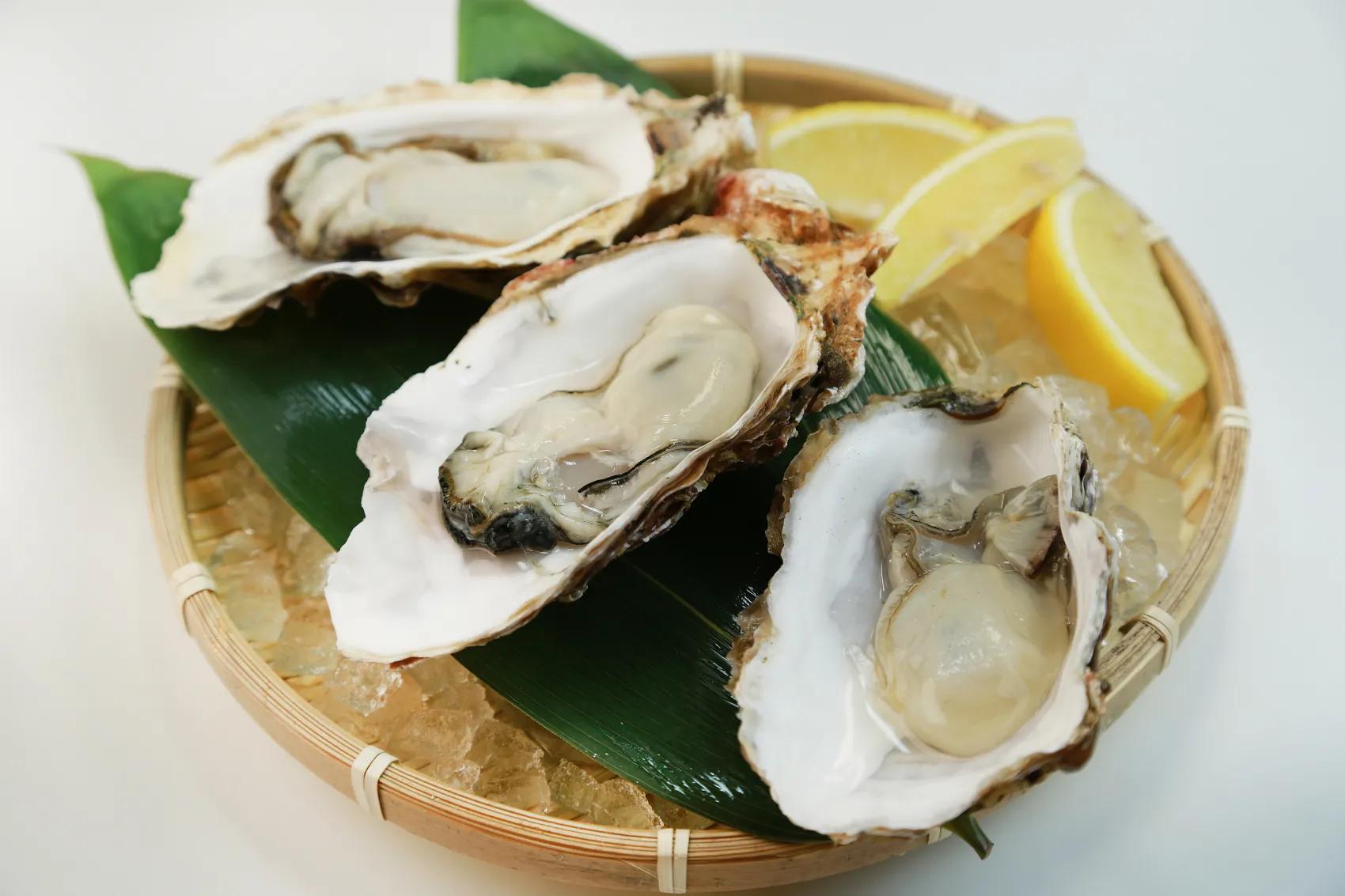 生蚝(牡蛎)不仅是美食,更是一味经典的常用中药