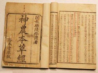 人参又名“人身”，与人齐寿；如何补身体，《神农本草经》说过了