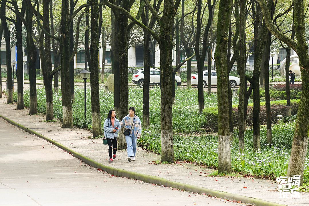 长大，不说再见！