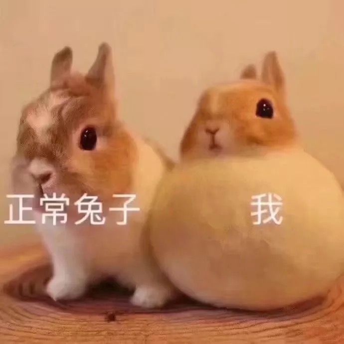 有哪些值得摘抄的句子？网易热评
