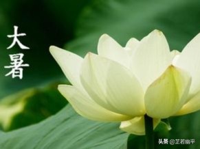 大暑｜暑气浓，清风漫，夏渐去，秋渐来