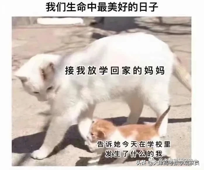 天津市新高考适应性考试（数学试卷+评分原则）