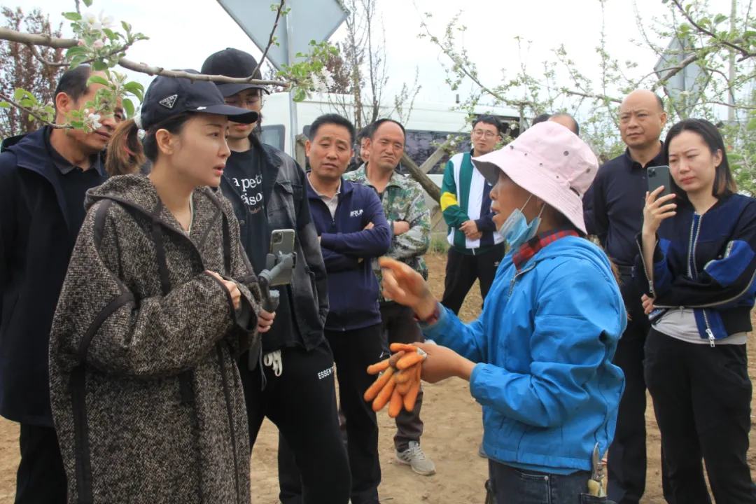 nannan(“小红书”网红博主来洛川“带货”了)