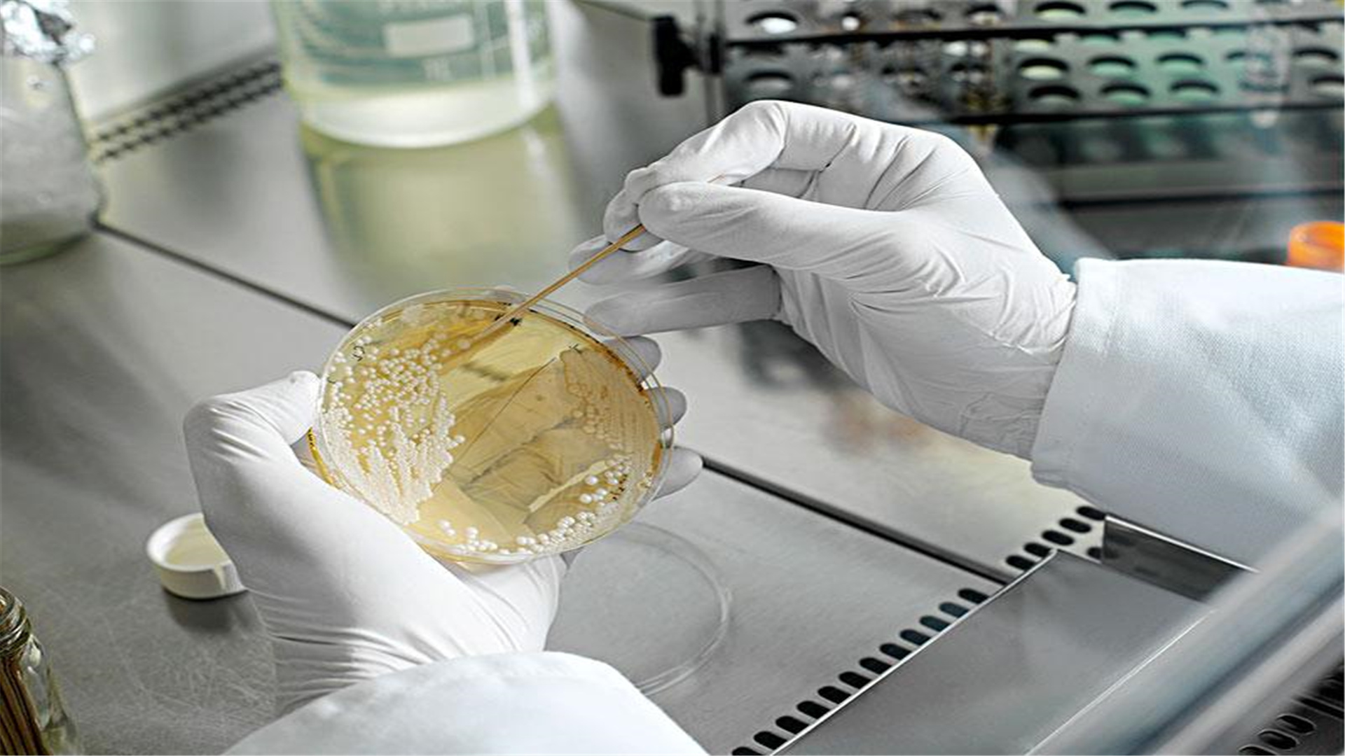 好消息！广东新建“卫生与健康学院”，耗资12亿，今年9月招生