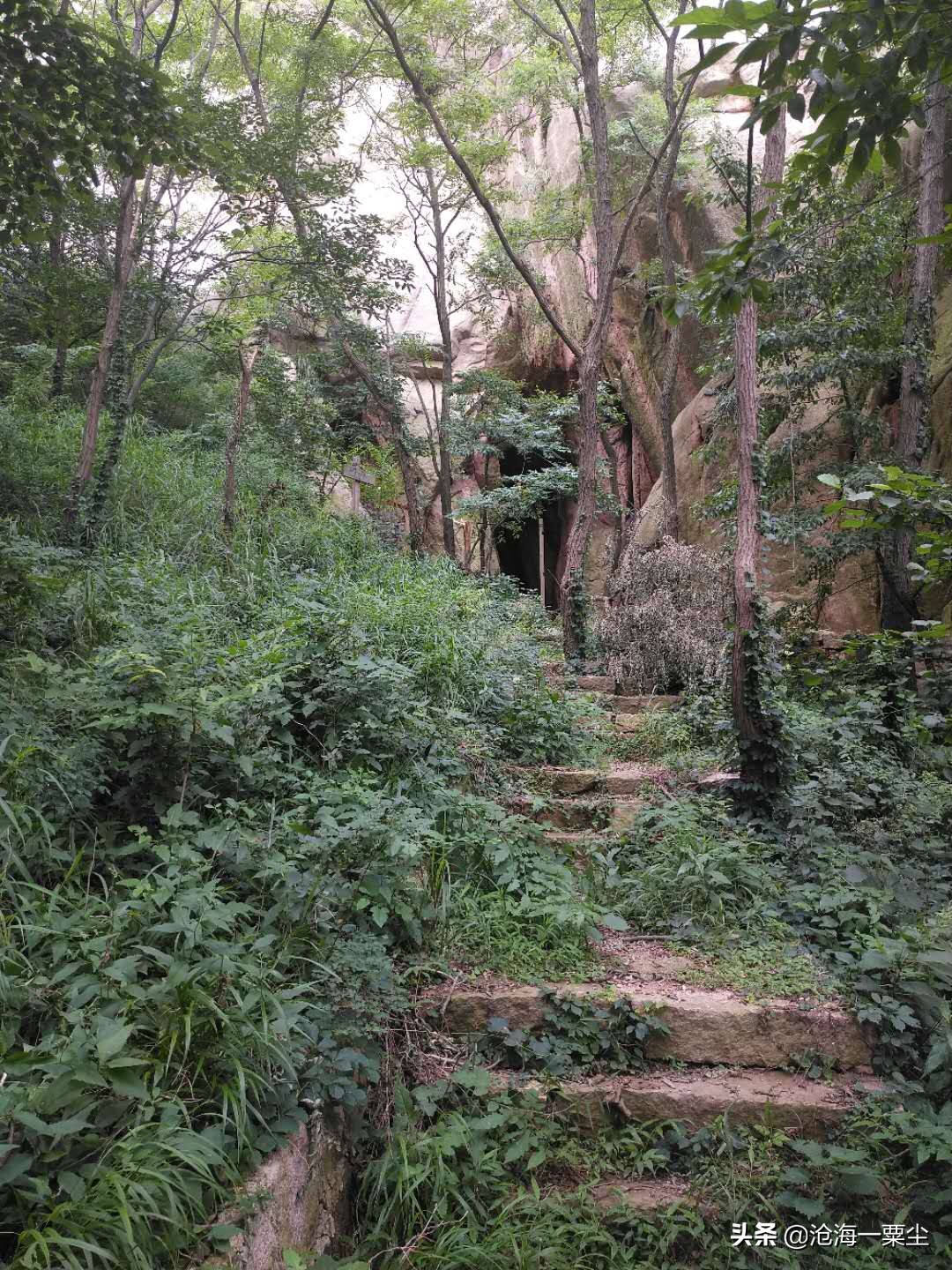 七绝 雨日游山