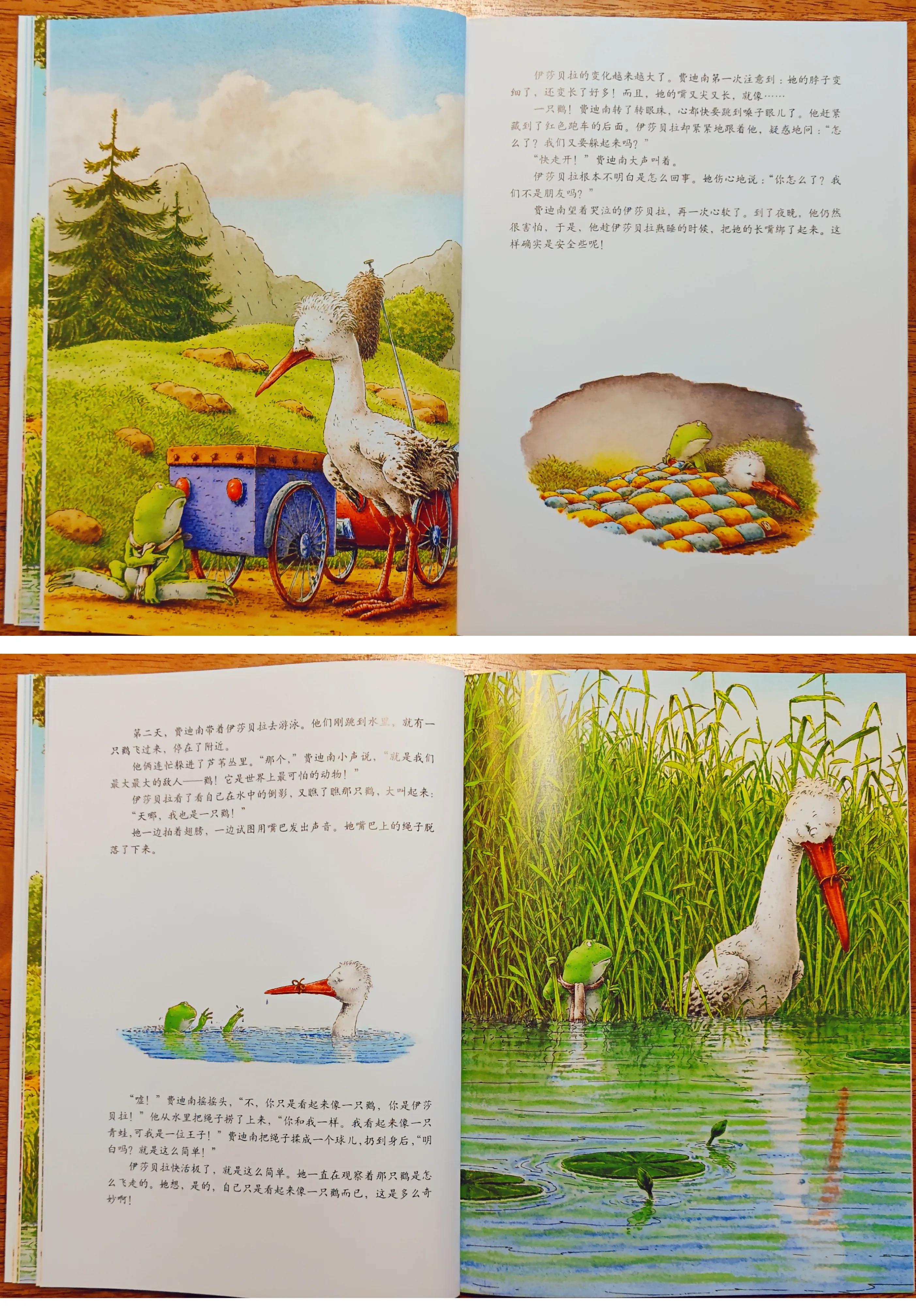 绘本都是暖心的——《青蛙王子历险记》