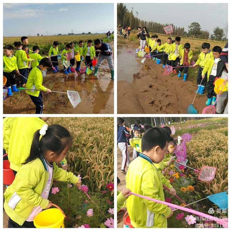 邯郸：魏县县直幼儿园观摩县全域水网建设和试种稻田项目活动