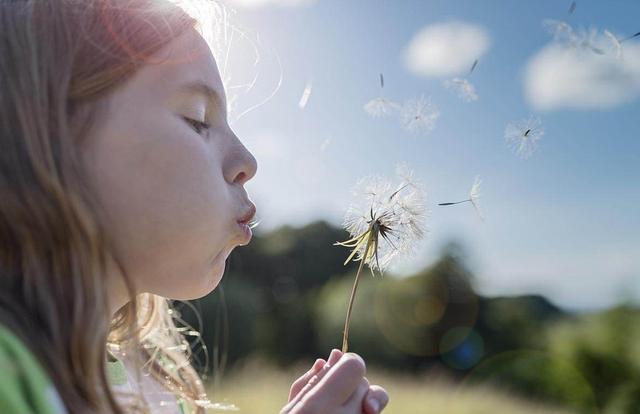 成语“吹毛求疵”，“吹”是什么意思？（吹毛求疵什么意思）