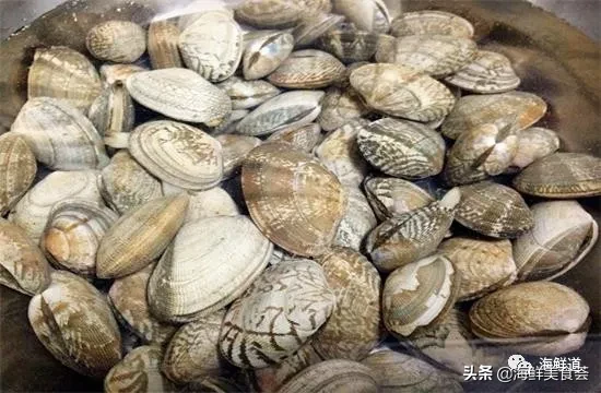 市场常见的102种海鲜，肉质鲜美，营养丰富，你们吃过几种？
