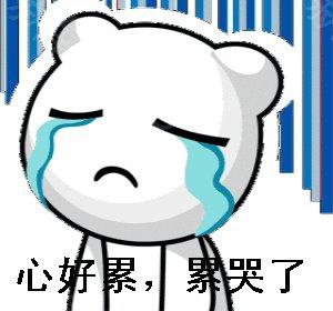 关于猫狗打架的说说配图「伤感」 _qq说说网