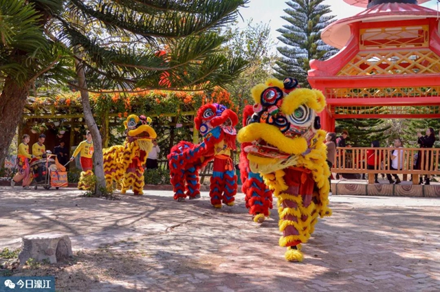 汕头河浦“丹樱生态园”登上央视《新闻联播》