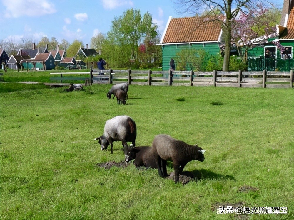 五年级下册语文第19课《牧场之国》教材解读和学法指导