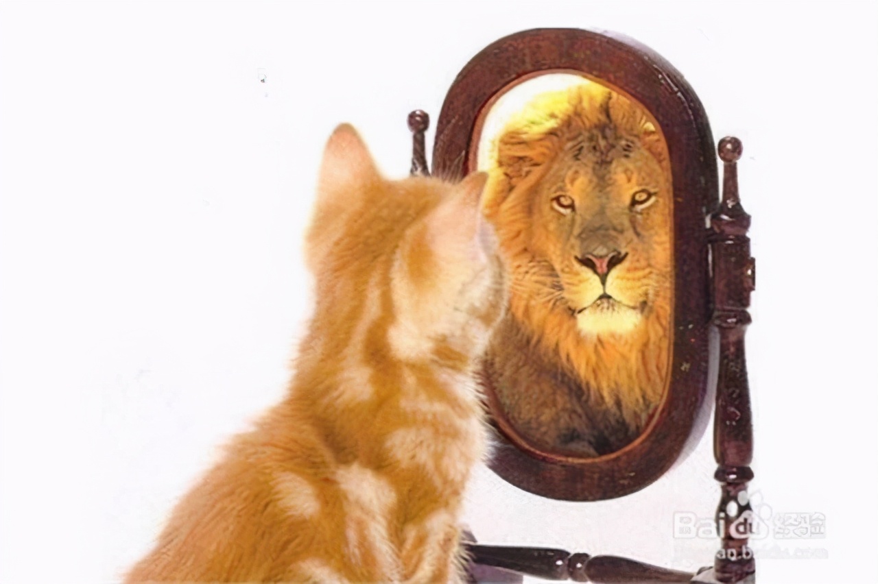 在职场上同样,有多少人在职场上没有摆清楚自己的位置,明明大家都是