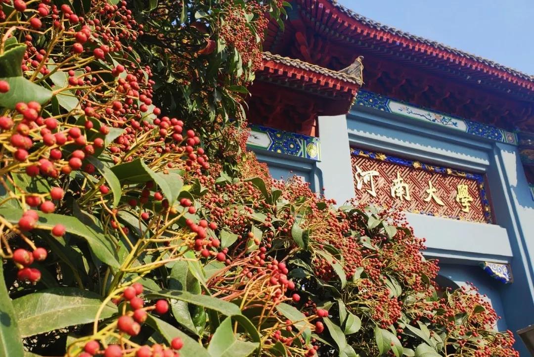 神仙颜值！河南9位播音主持