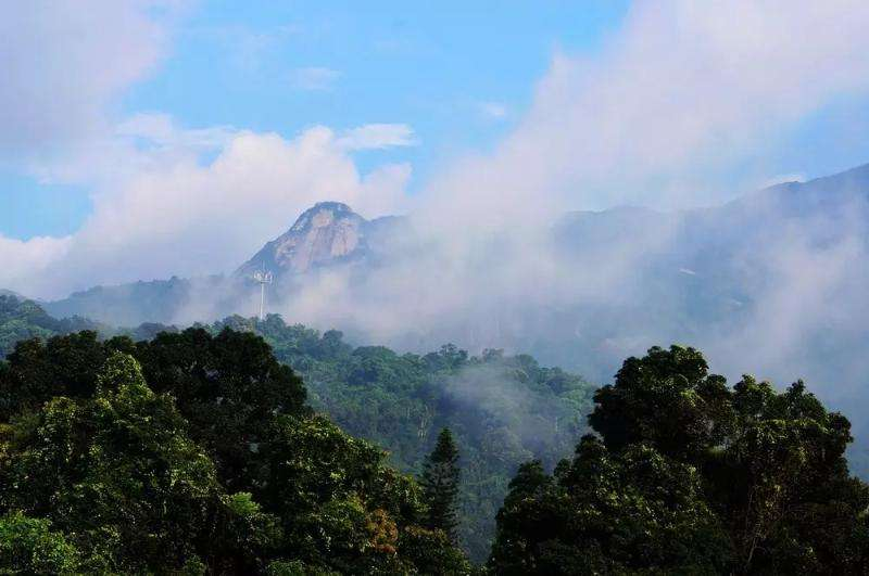 百岁山矿泉水是哪个国家的品牌（分享3大国产矿泉水品牌）