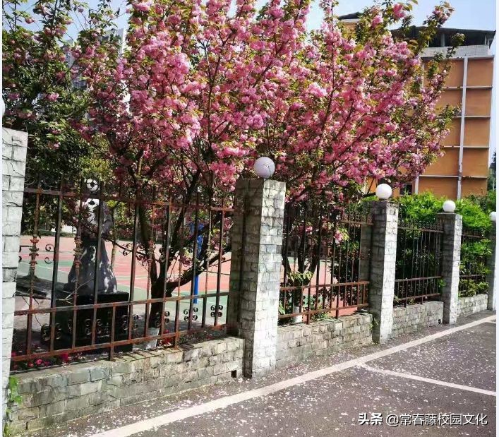 重庆校园文化建设丨弘道养正，旗开德胜—红旗中学环境景观设计